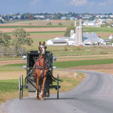 Amish buggy ride through the countryside in Lancaster, Pennsylvania