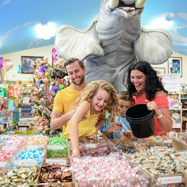 Mister Ed's Elephant Museum & Candy Emporium in Ortanna, Pennsylvania