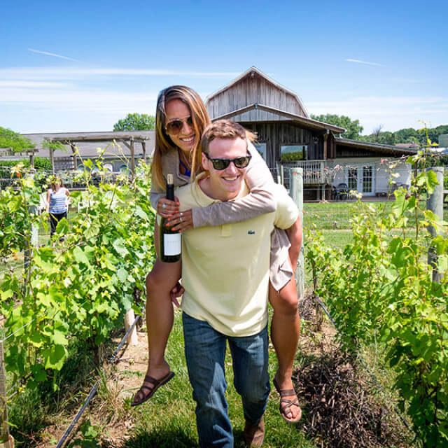 Va La Vineyards in Avondale in Chester County, Pennsylvania